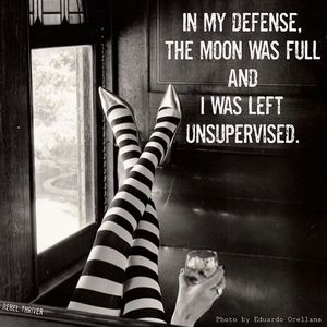 Meet your Posher, Pauly